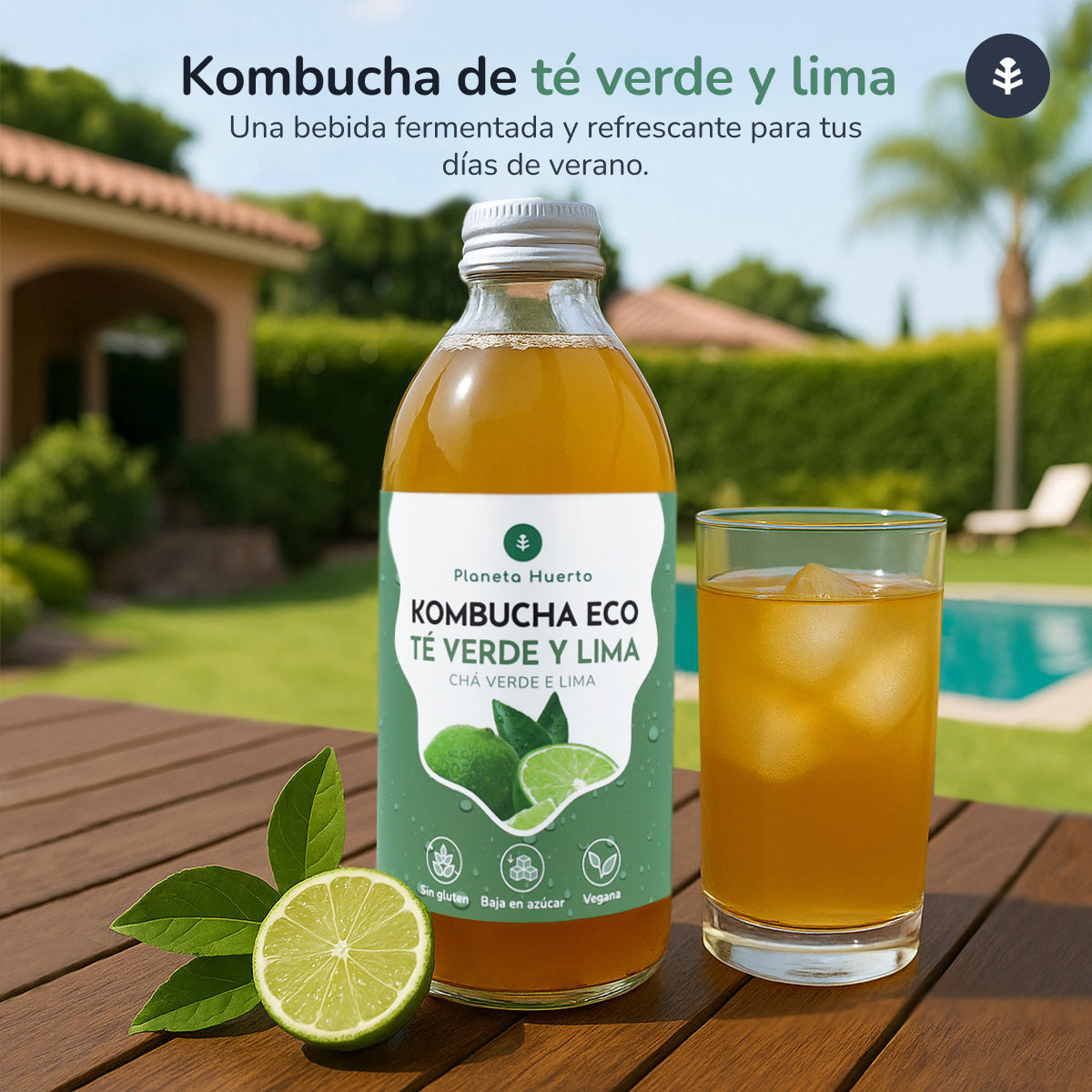 Pack 12x Kombucha ECO thé vert et citron vert Planeta Huerto 330 ml