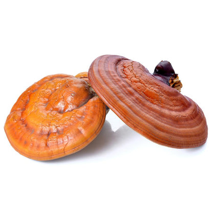 Reishi El Granero 60 gélules, 530 mg