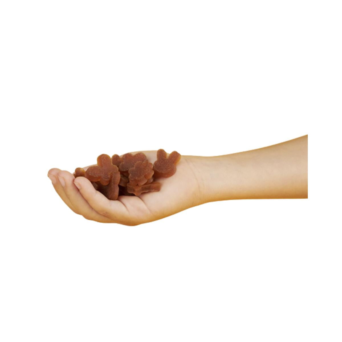 Pakket Mix Snacks Triboo fruit ECO Smileat 5 stuks 25 g