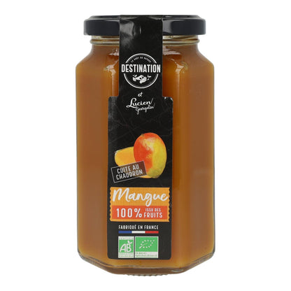 Mermelada de mango BIO Destination 300 g