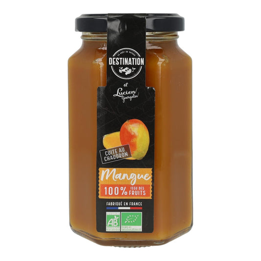 Destination organic mango jam 300 g