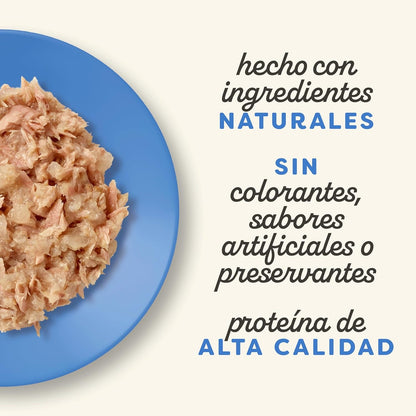 Applaws Cat Multipack mit ausgewählten Fischsorten 12 x 70 g Nassfutter für Katzen