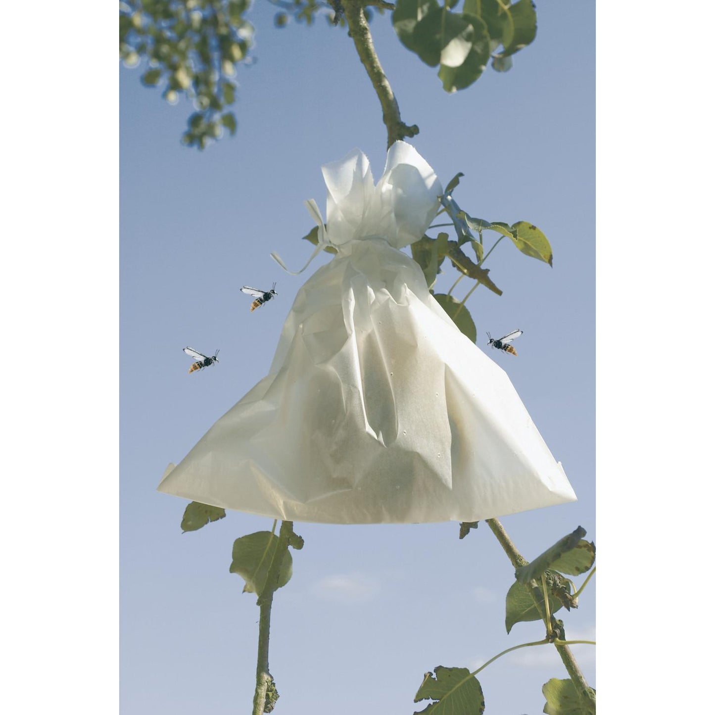 Skyddsöverdrag för frukt Fruitsac Nortene 50 st 20 x 30 cm.