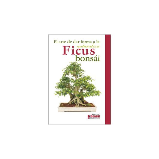 Ficus bonsai guide