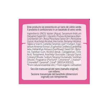 Glättende Nachtcreme mit Hagebutte und weißem Tee, Weleda, 40 ml