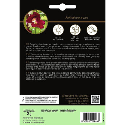 Rocalba snapdragon edible flower seeds