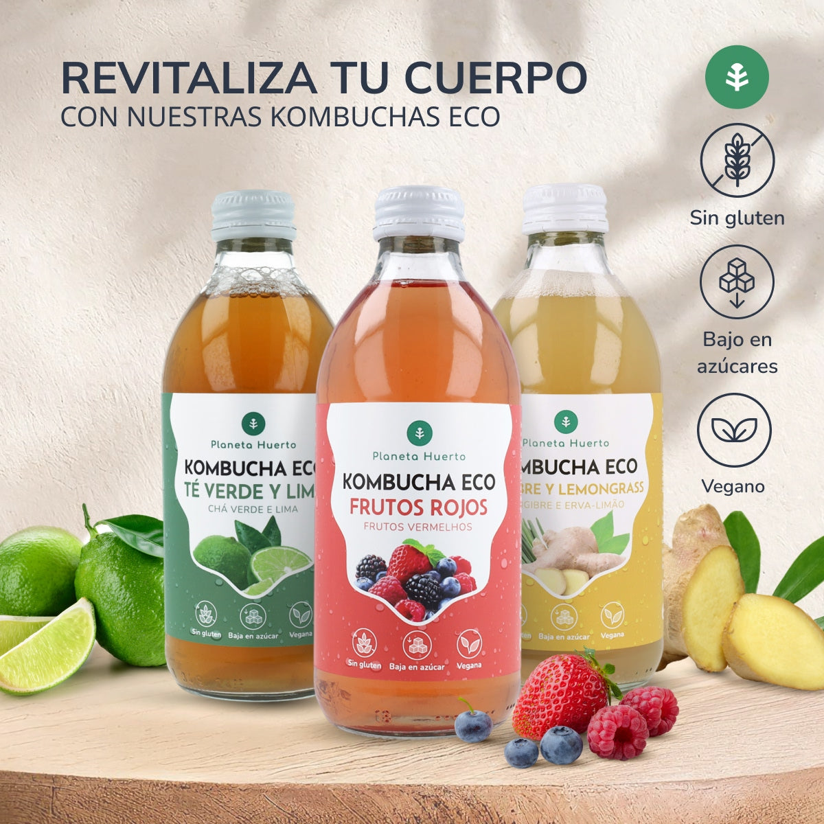 Kombucha ECO Gember en citroengras Planeta Huerto 330 ml
