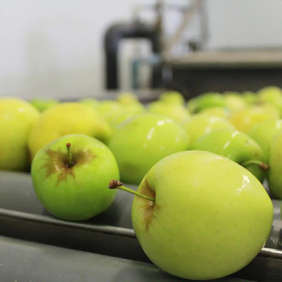 Hergestellt aus Bio-Äpfeln und -Kiwis, ohne Zuckerzusatz. Ékolo 700 g