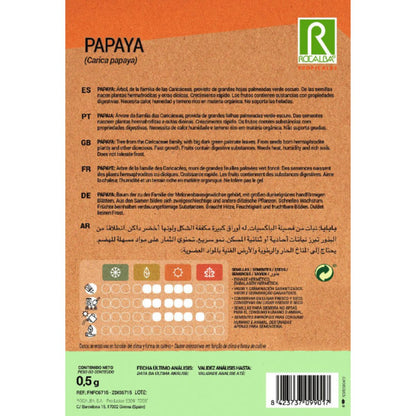 Semillas de Papaya Carica papaya