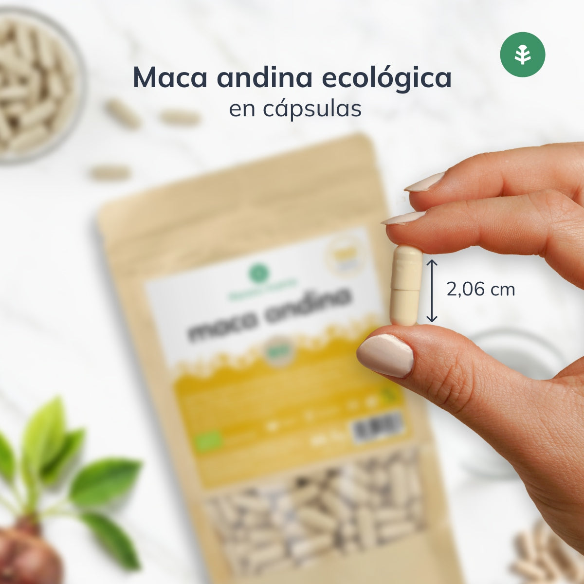 Maca BIO Planeta Huerto 150 Cápsulas