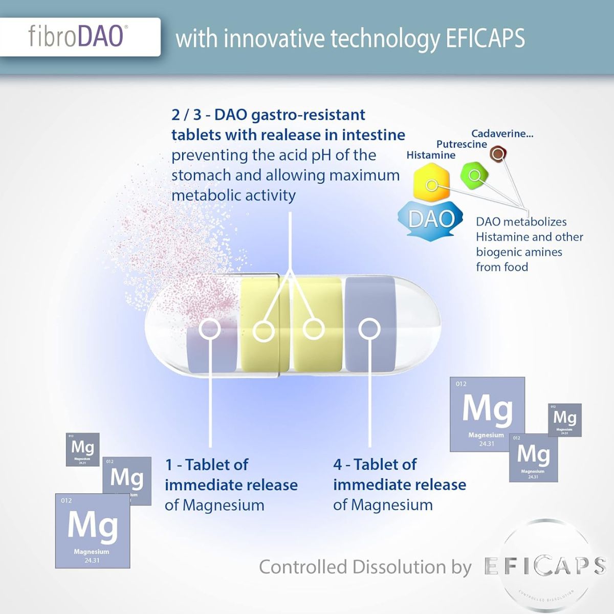 fibroDAO® 60 capsule con compresse gastroresistenti