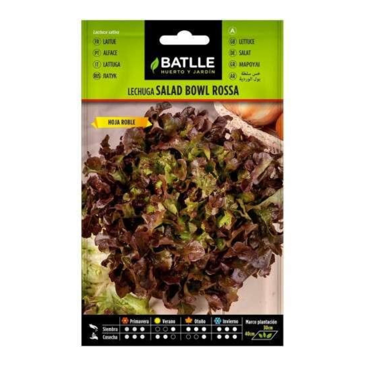 Semi di lattuga Roble Batlle