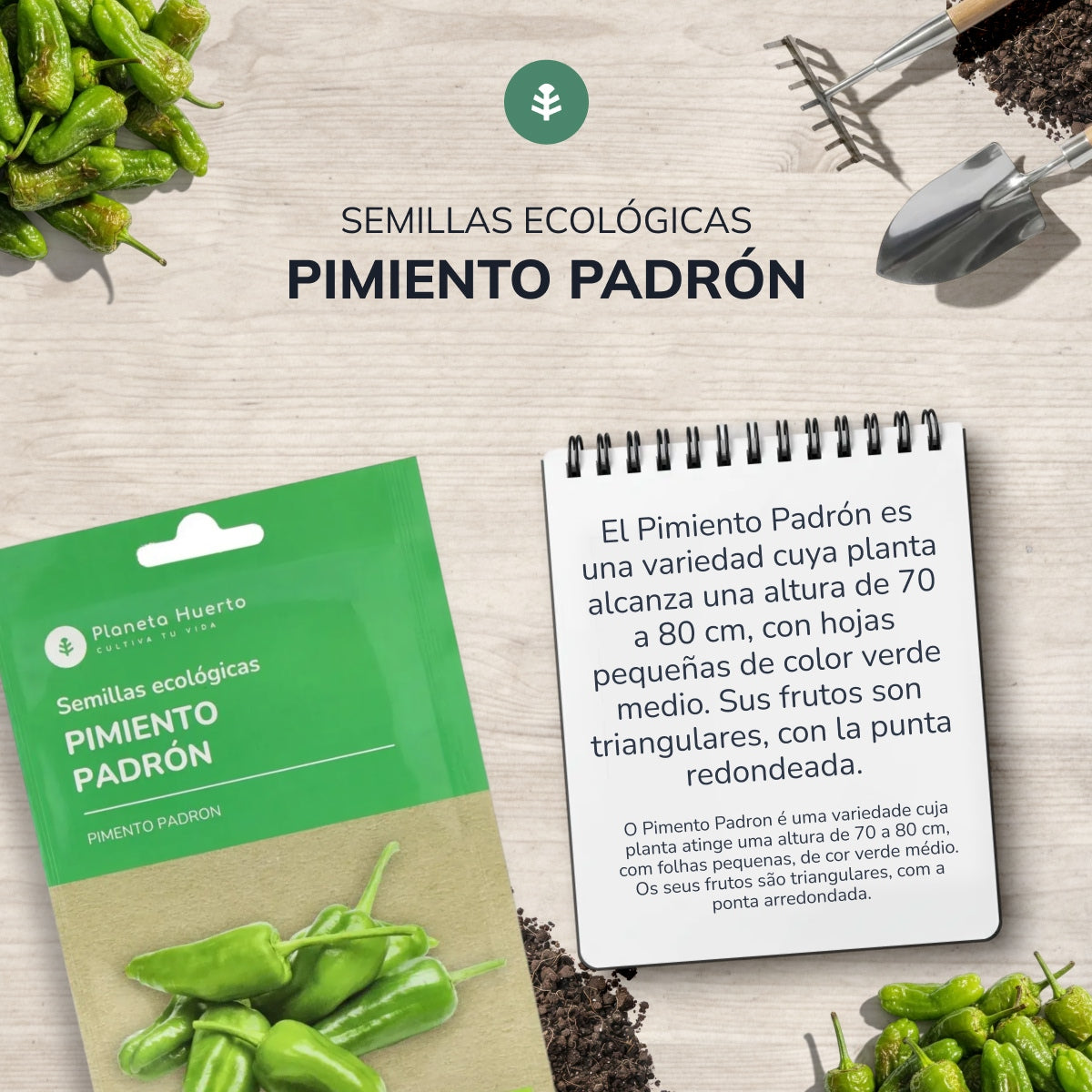 Graines bio de Poivre de Padron Planeta Huerto
