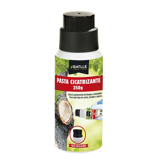 Heilende Paste mit Applikator 250 ml Batlle