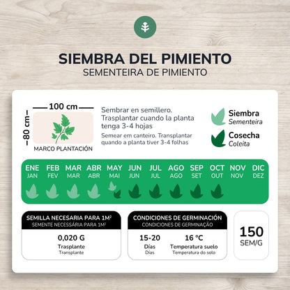 Organic Long Pepper seeds from Reus Planeta Huerto