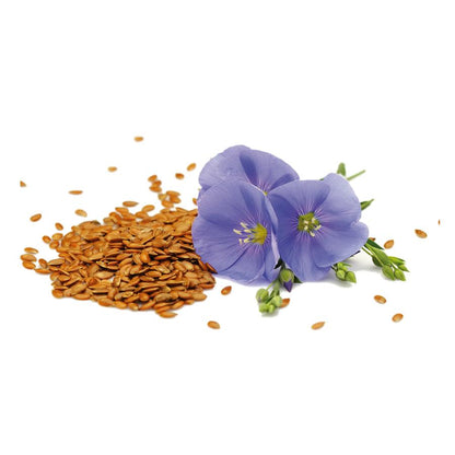 Bio-Leinsamen El Granero 200g