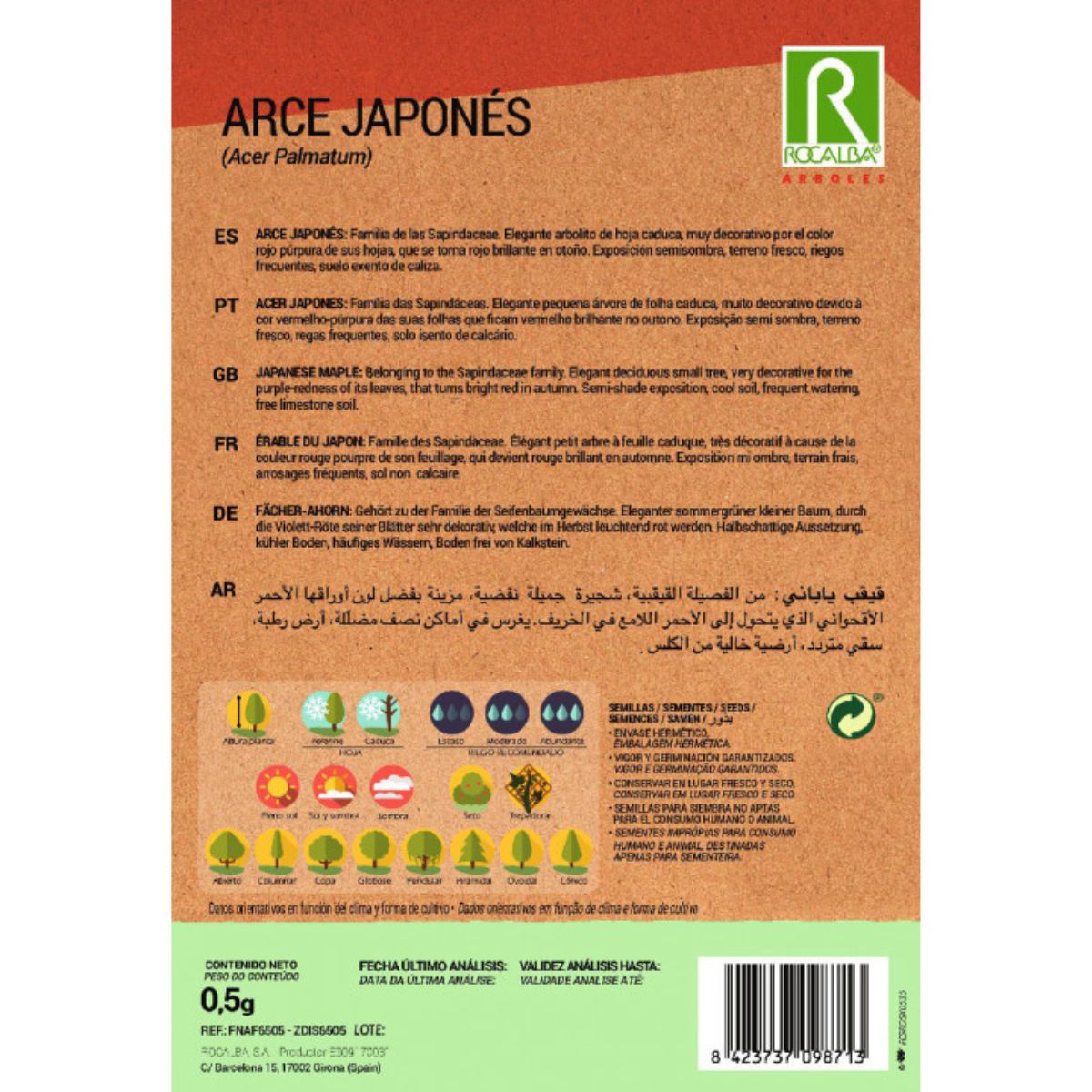 Samen des japanischen Ahorns Acer palmatum