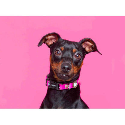 Hundehalsband DOGTELLA Dukier L