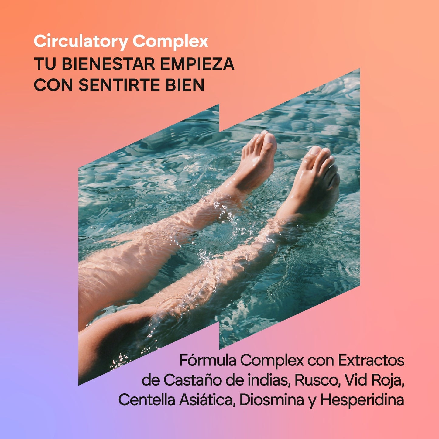 Nutralie Circulatory Complex avec diosmine et hespéridine 60 gélules