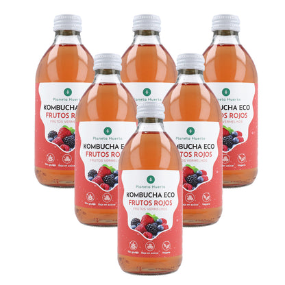 Confezione 6x Kombucha ECO Frutti Rossi Planet Orchard 330 ml