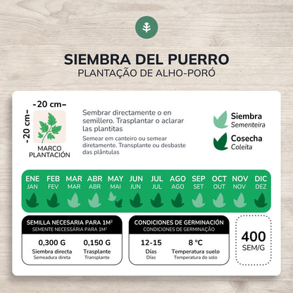 Semi biologici di porro grosso di Carentan Planeta Huerto