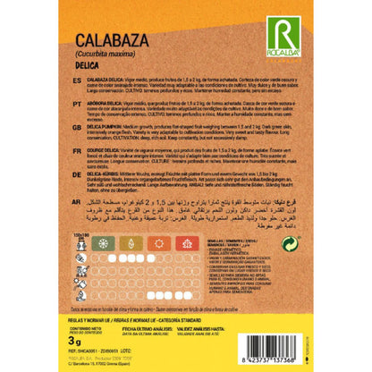 Semi di zucca Delica