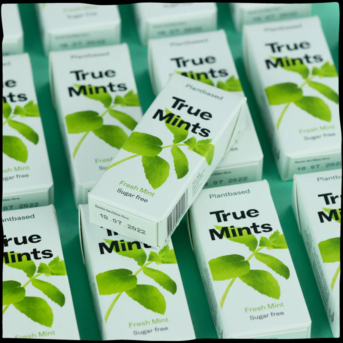 Plastfria karameller med färsk mint True Mints 13 g