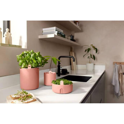 Kiemapparaat Magic Microgreens Elho Terra