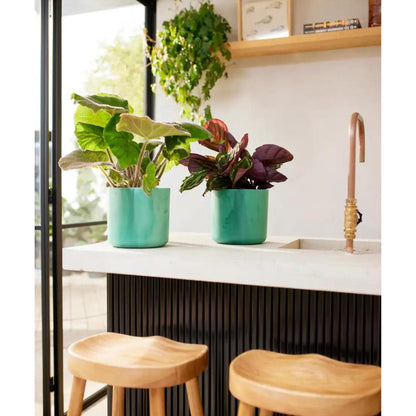 Pot de fleur recyclé Ocean Round Elho vert pacifique 16 cm