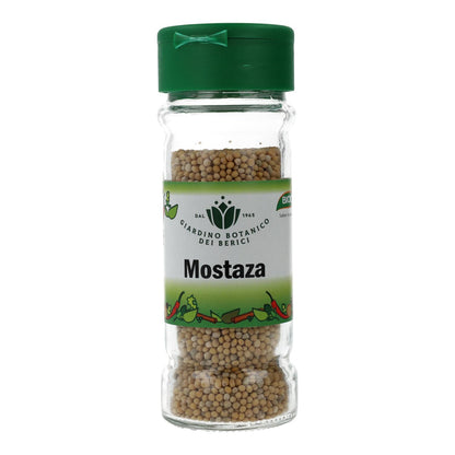Mostaza en grano Biocop 60 g