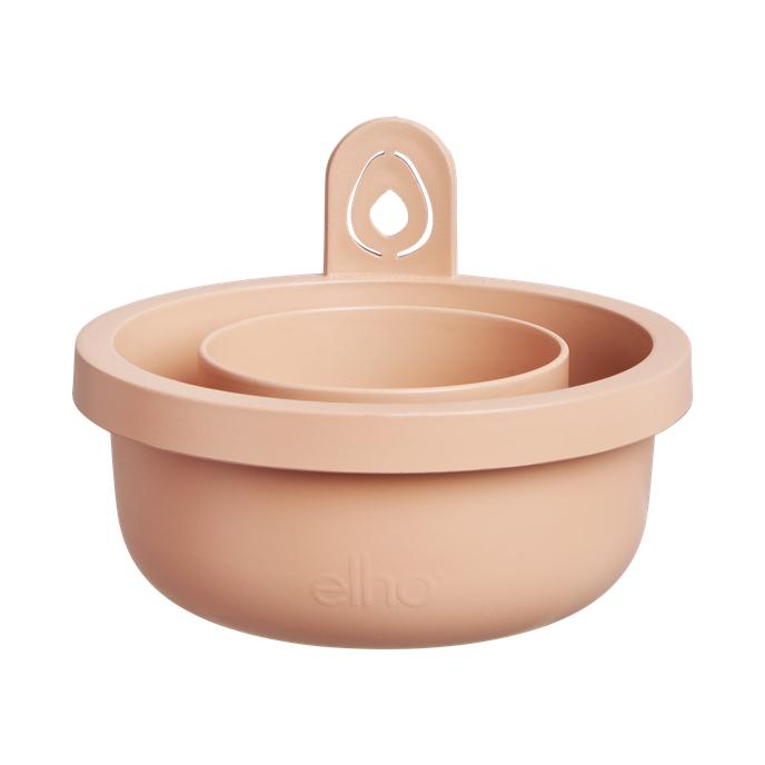 Avocado-Keimtopf Amazing Avocado Elho Terra