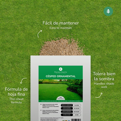 Ornamental Grass Seeds Planeta Huerto 1 kg