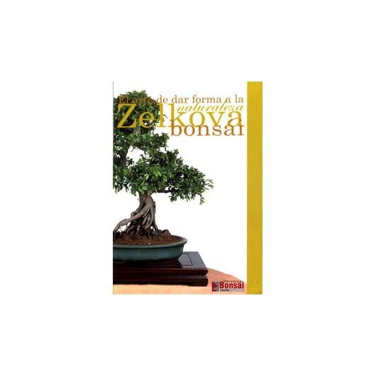 Zelkova Bonsái-guide