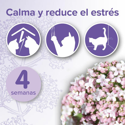 No Stress Gatto Pack diffusore e ricambio No Stress Gatto Beaphar 30 ml