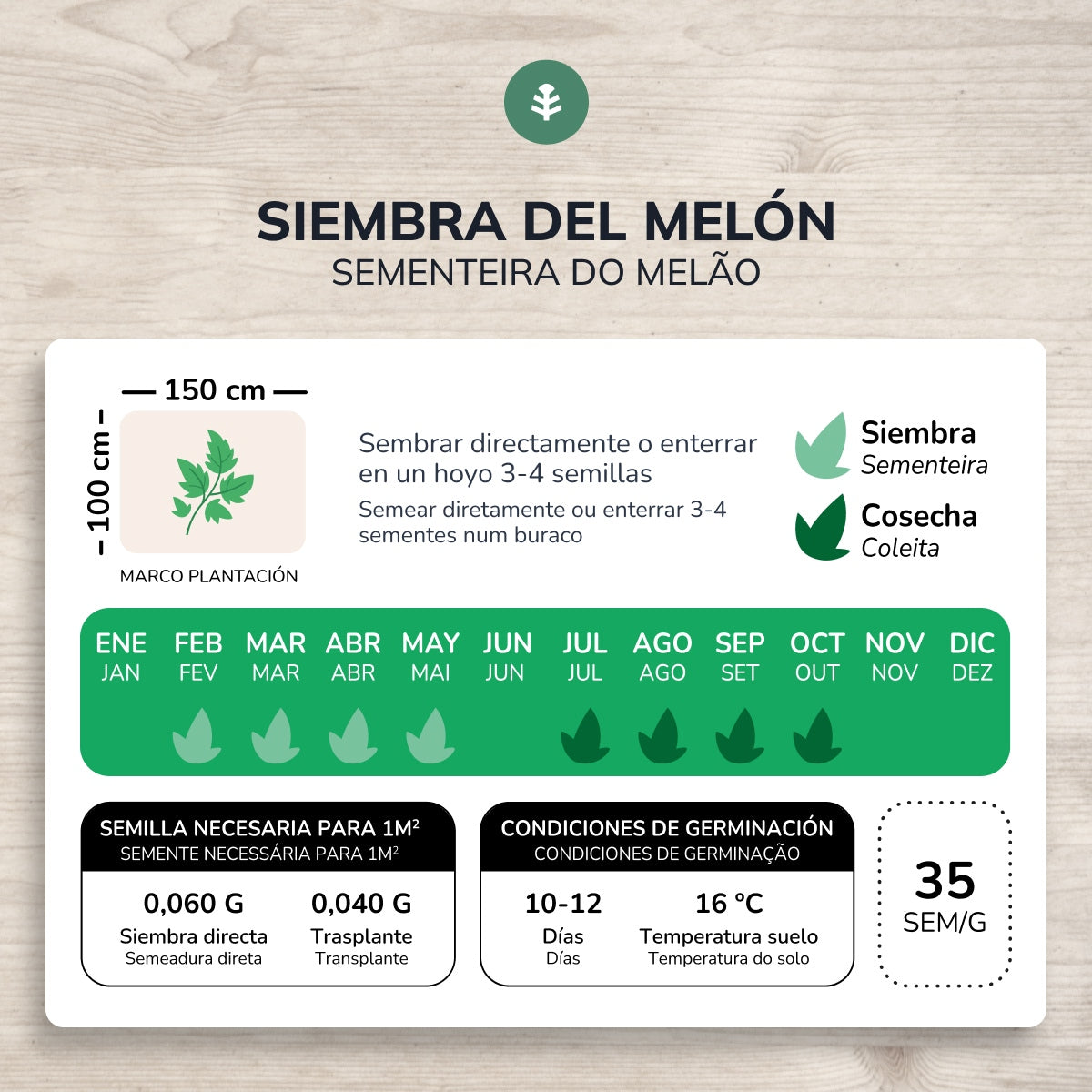 Organiczne nasiona Melon piel de sapo Planet Garden