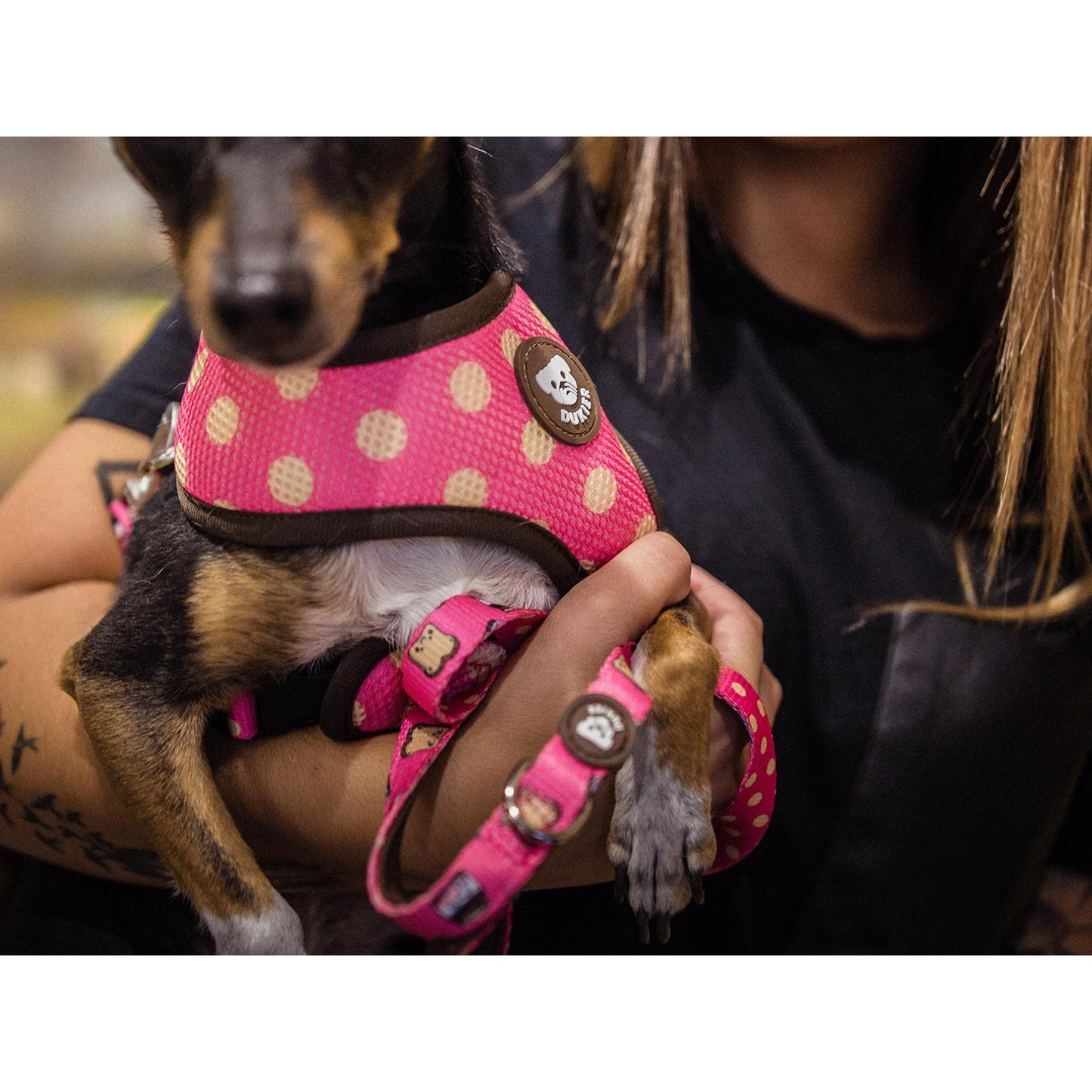 Harnais réversible pour chien DOGTELLA Dukier L