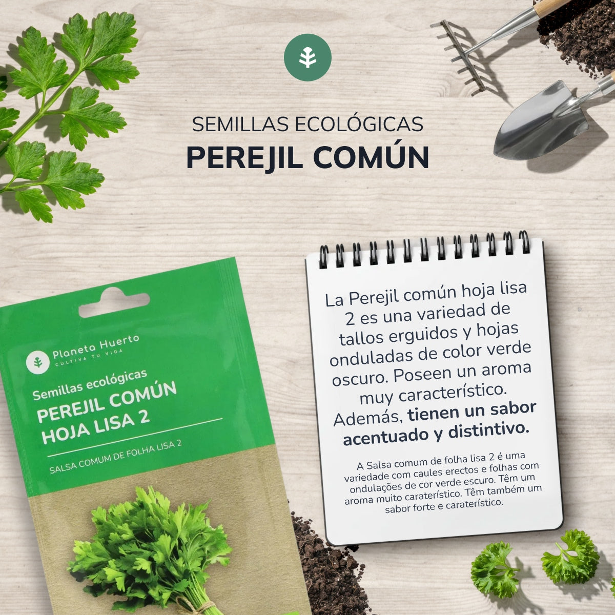 Organic seeds of common broad-leaf parsley Planeta Huerto