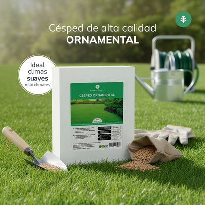 Ornamental Grass Seeds Planeta Huerto 1 kg